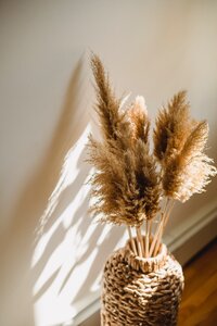 dried grasses in vase