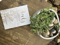 Pearls Book by Michelle Randall