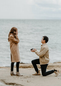 proposal by the ocean