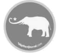 Elephant Journal Life Coach for Women