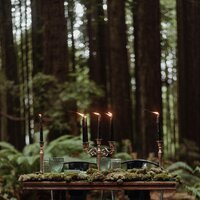 PNW Elopement Photographer