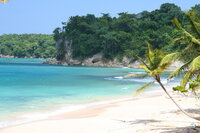 Immerse yourself in a luxury vacation with a tropical beach scene featuring clear turquoise waters, white sandy shores, and lush green palm trees. Let our personalized travel planning whisk you away to this paradise, where rugged cliffs meet a vividly bright blue sky.