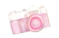 camera-pink copy
