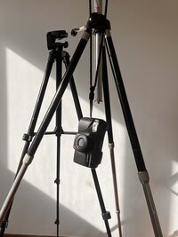 Ilaria Cosentino Dupe (1)