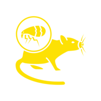Icon of a pest and rodent to grab attention of how having a clean crawl space can deter these animals from inhabiting your crawl space