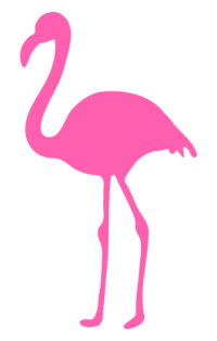 JoyBabe Studio icon