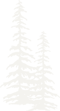 two white pine trees illustration