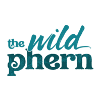 The Wild Phern Photography