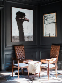 Brown chairs on a black wall with a portrait of an ostrich