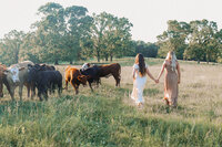 Two girls holding hands and walking through a field near cattle