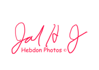 Logo 4-9-2020-Red