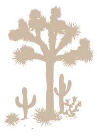 joshua tree illustration