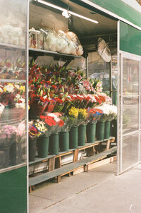 Film photo of flower state in Brooklyn, New York. 