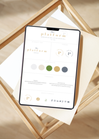 brand identity and strategy, logo, color palettes, font and typography