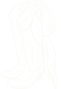 illustration of cowgirl boots