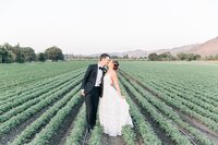 Bride and groom walk up memorial steps at their DC wedding