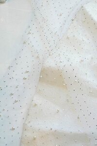 Cathedral Length Veil with Pearls