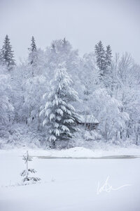 Winters Beauty Akeley Minnesota