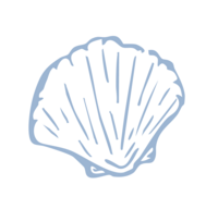 Light blue, handdrawn shell icon