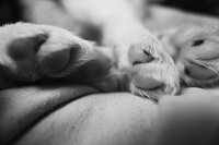 02D07250-E6D9-47DC-AA0E-67B7F508F43F