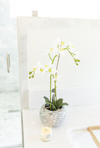 Orchid in master bathroom