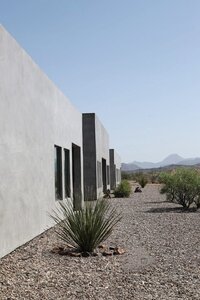 willowhouse9