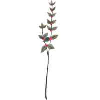Stem of holly graphic