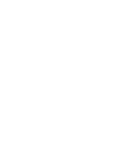 Decorative Olive Branch