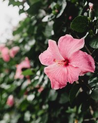 georgia-de-lotz-bS--fjzV0po-unsplash(1)