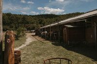 Scenic outdoor view of horse stables surrounded by nature
