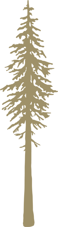 tree illustration