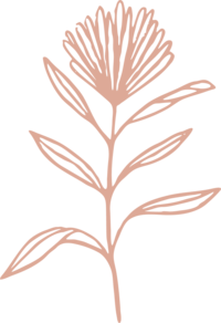 floral illustration