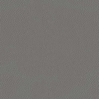 fabric_premium_leather_steel