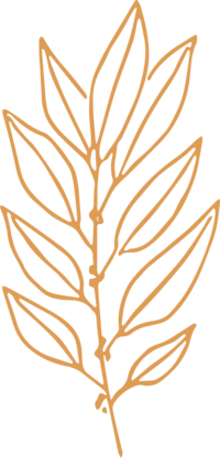 hand drawn branch with leaves