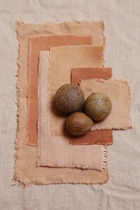 Natural dye from plants