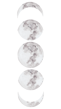 5 moon phases illustration