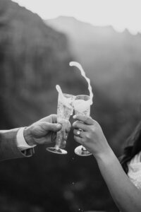 Intimate wedding in Big Sur California on the coast | Elopement in Zion National Park at the overlook