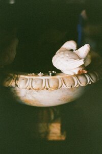 flatlay-details-on-film-italy