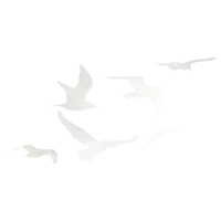 Treebird_bird-elements