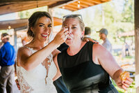 Glacier Park Elopement and Wedding Photographer