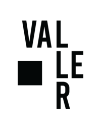 jason valler photography logo