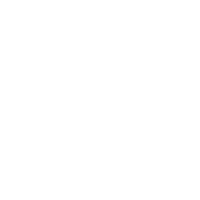 sunshine shannon photographer logo
