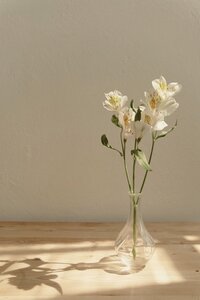 Vase of white flowers sits atop wooden table with sun projecting shadows.