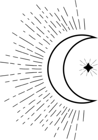 Black moon with sun rays branding icon.