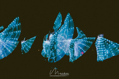 Header 6_branded