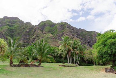 Hawaii-Wedding-Photographer-37