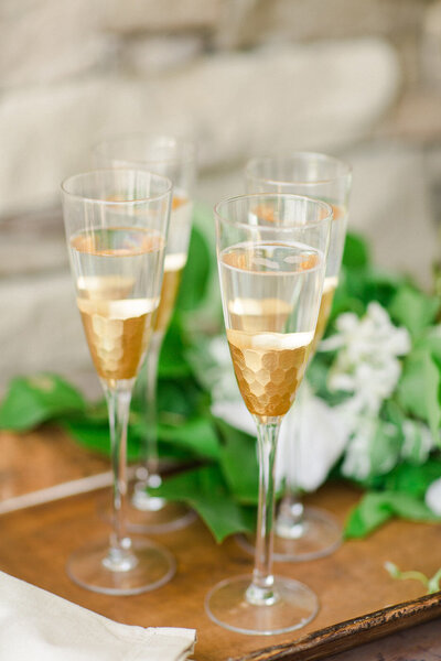 Tampa Wedding Photographer |  © Ailyn La Torre Photography 2014  31096