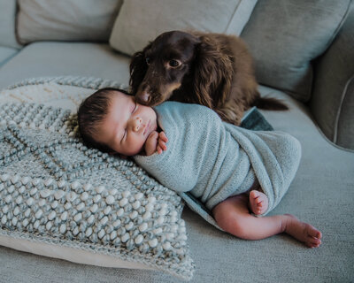 indianapolis-newborn-photographers-2