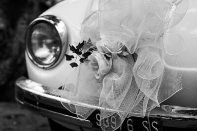 nataliya-melnychuk-R7XdkzN6soA-unsplash