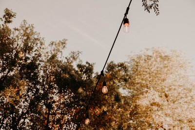 neonbrand-LoV0EpSG2-M-unsplash